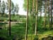 Siikainen 001