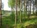 Siikainen 010